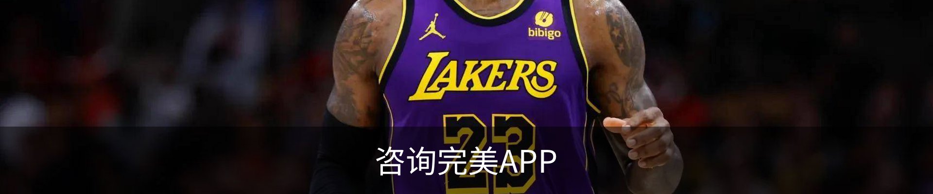 咨询完美APP
