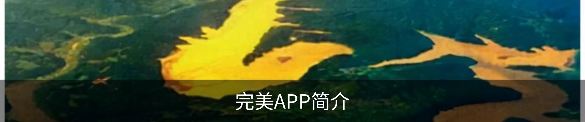 完美APP简介